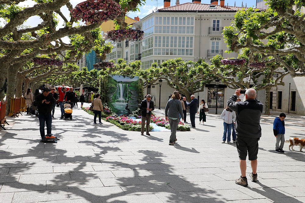 Monumentos florales de la Fiesta de las Flores de Burgos