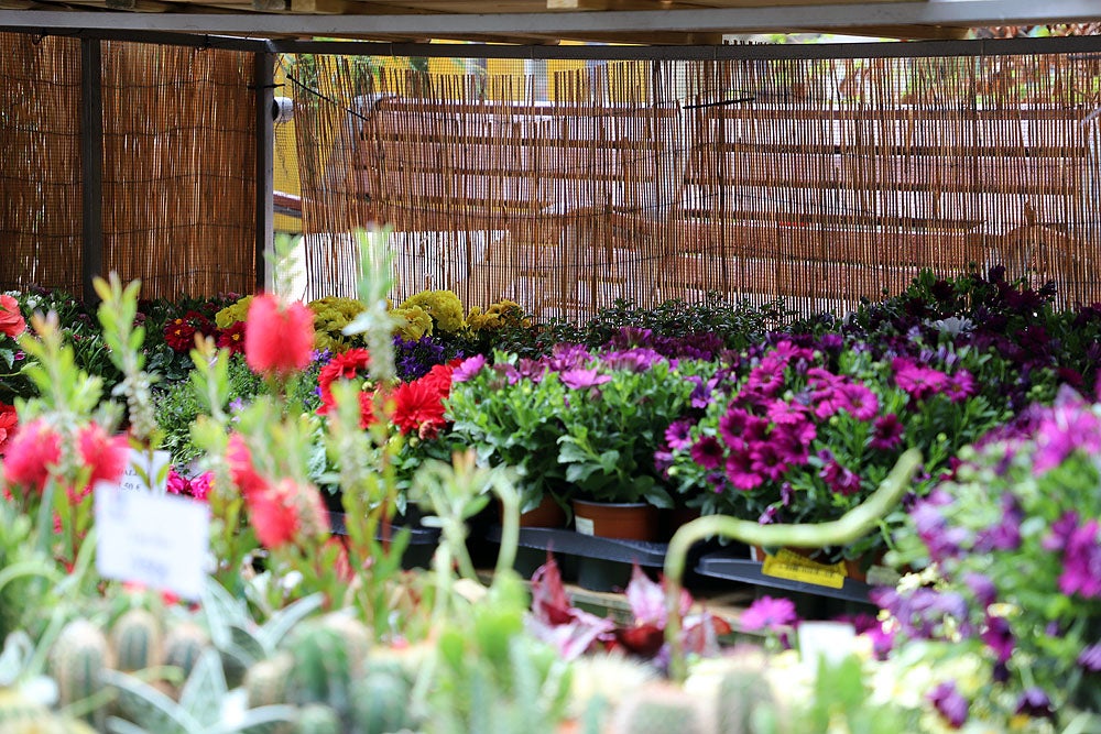 Monumentos florales de la Fiesta de las Flores de Burgos