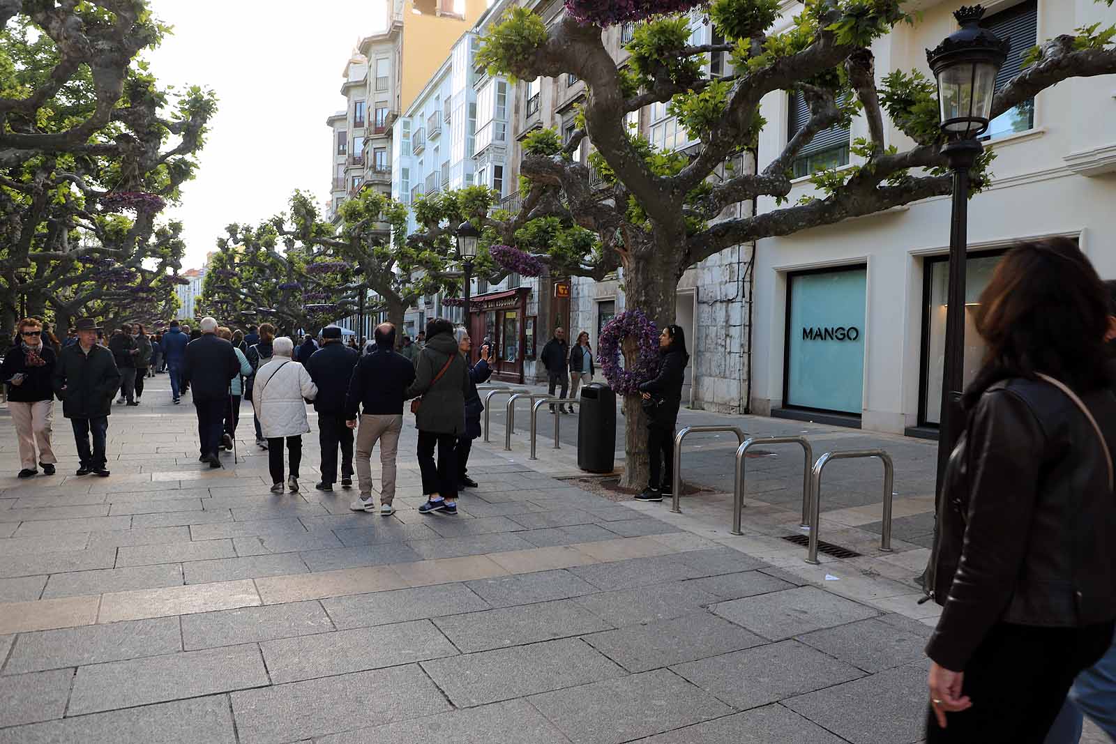 Burgos se llena de flores y gentío