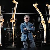 La colección permanente del MEH se completa con nuevos fósiles