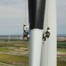 Vinilan con ojos más de 60 torres de molinos en parques eólicos de Burgos para proteger a las aves