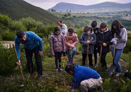 Los organizadores de la prueba y colaboradores han plantado un bosque en Espinosa de los Monteros.