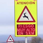 Las carreteras de Burgos lideran el número de accidentes con fauna salvaje en la comunidad