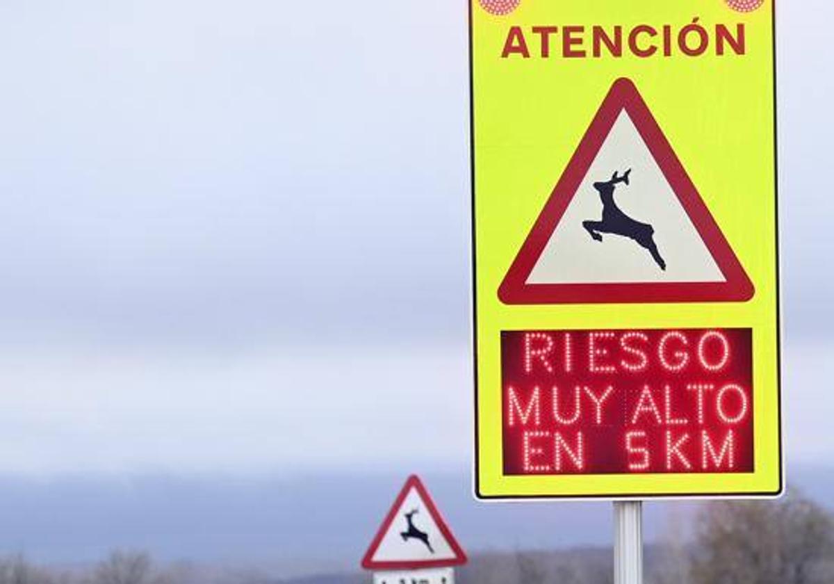 Señalización en tramos de alta concentración de accidentes con animales.