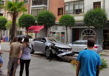 Un turismo pierde el control y arranca una palmera en Comuneros de Castilla