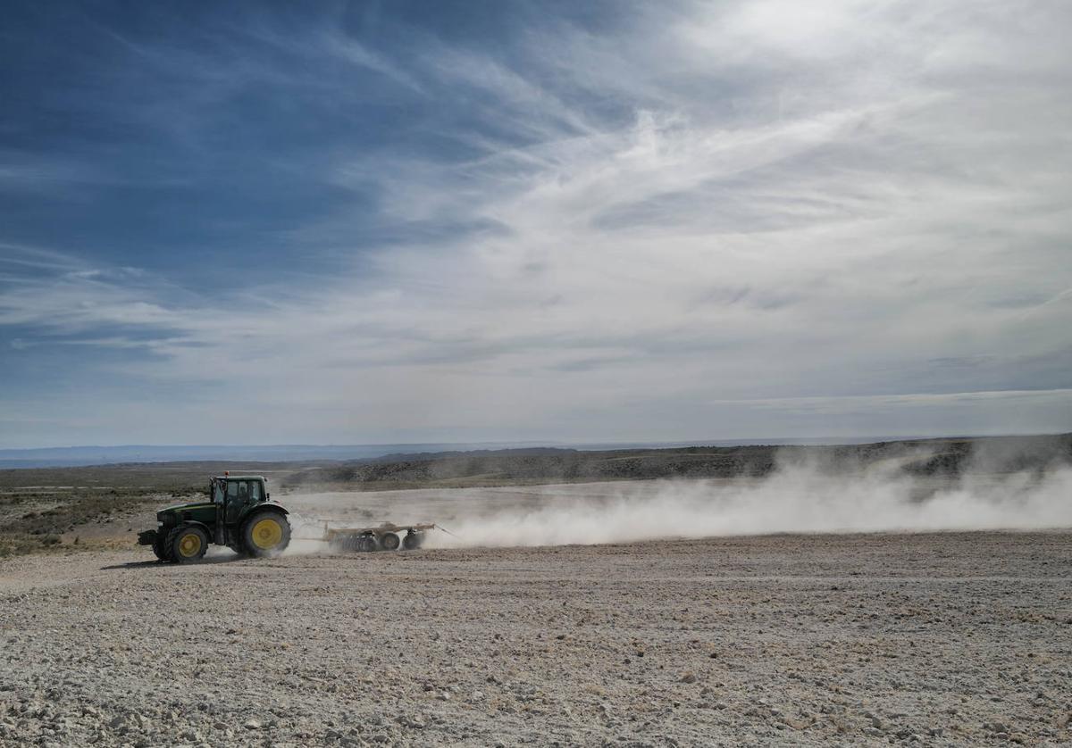 La sequía ha sido una de las principales amenazas del campo burgalés.