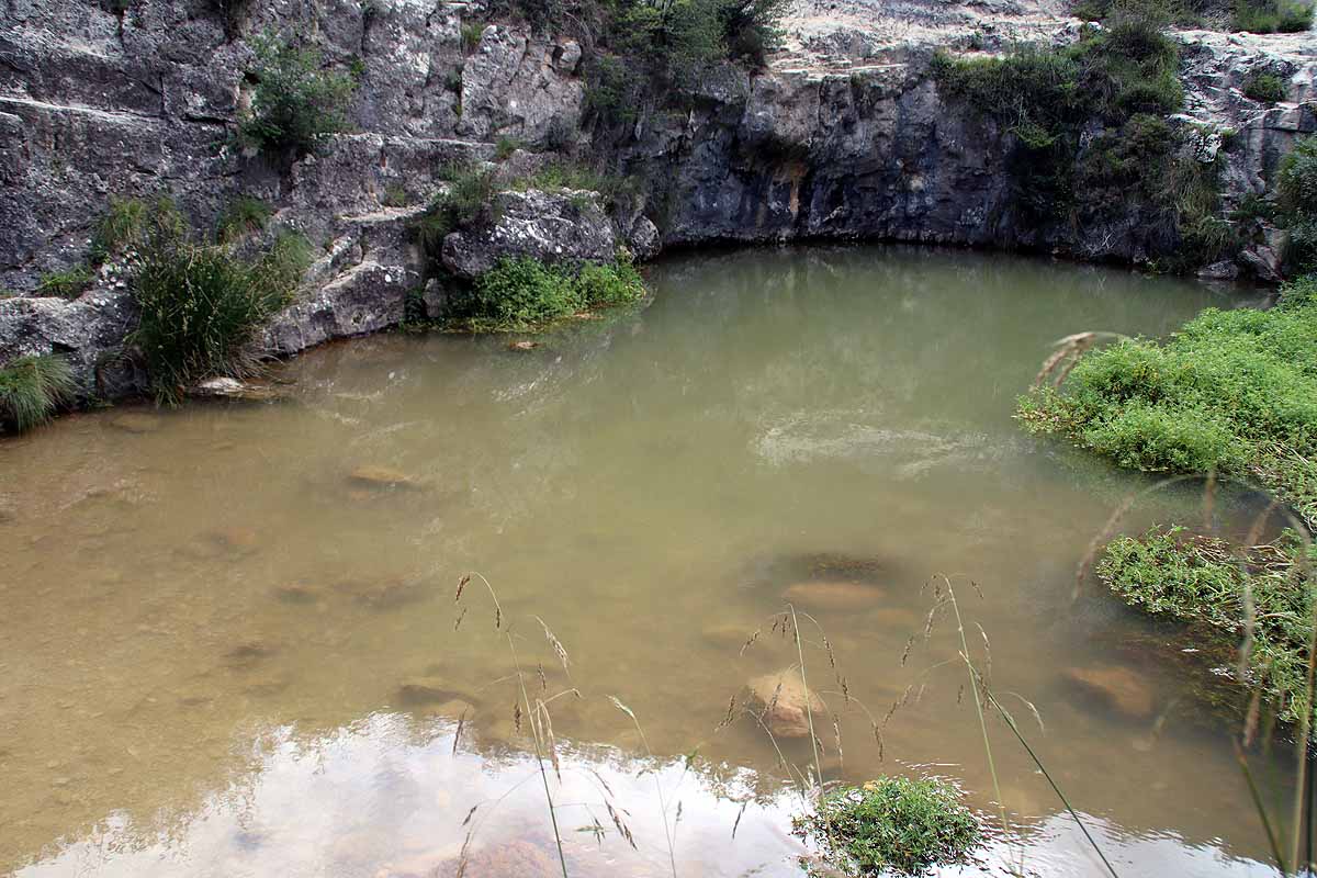 El azul intenso que da nombre a Pozo Azul ha pasado a ser verde por un vertido de origen y causas desconocidos.