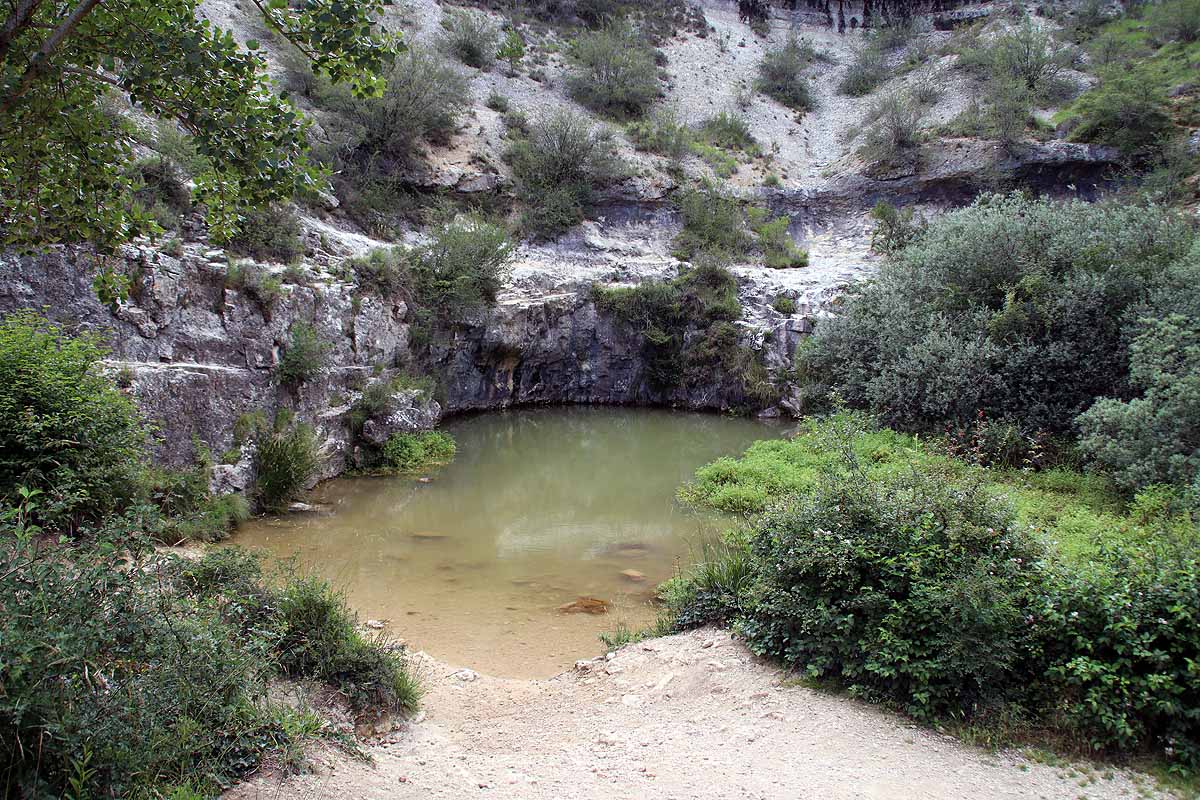 El azul intenso que da nombre a Pozo Azul ha pasado a ser verde por un vertido de origen y causas desconocidos.