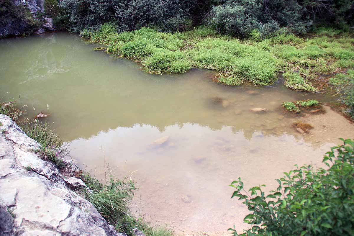 El azul intenso que da nombre a Pozo Azul ha pasado a ser verde por un vertido de origen y causas desconocidos.