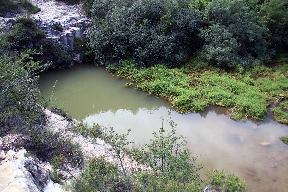 El azul intenso que da nombre a Pozo Azul ha pasado a ser verde por un vertido de origen y causas desconocidos.