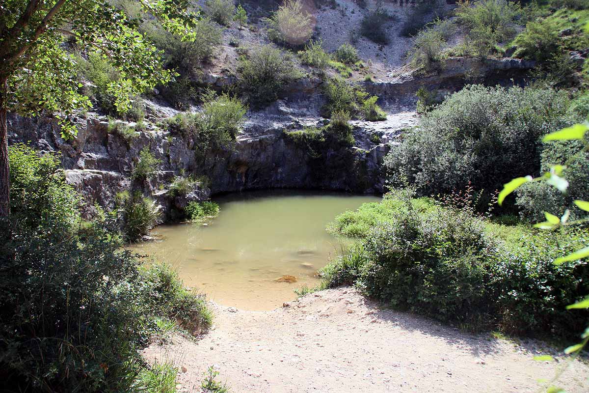 El azul intenso que da nombre a Pozo Azul ha pasado a ser verde por un vertido de origen y causas desconocidos.