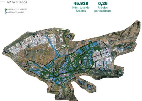 Imagen secundaria 1 - Datos sobre la arbolada de burgos situación y beneficios