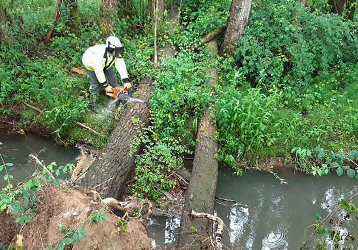 Actuación en el cauce de un río.