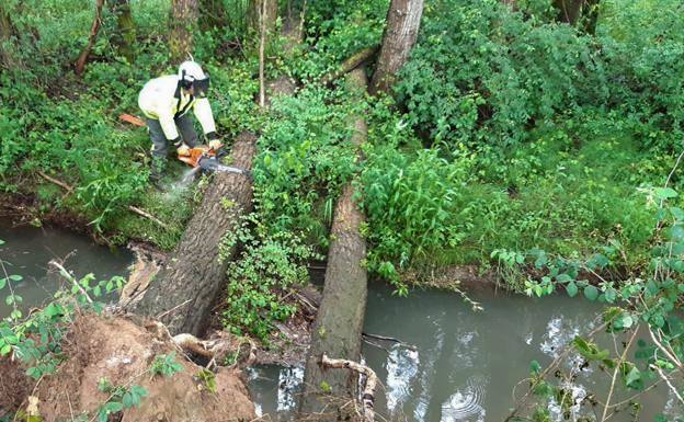 La CHD recupera 6,4 kilómetros del cauce del río Mataviejas, en Burgos