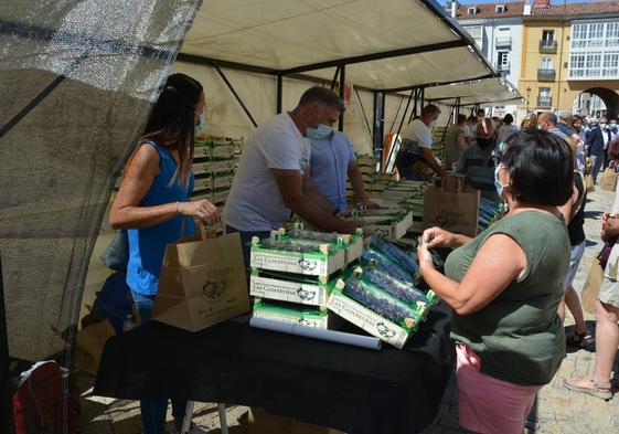 Imagen de una edición anteriore de la Feria 'Días de Cerezas'.