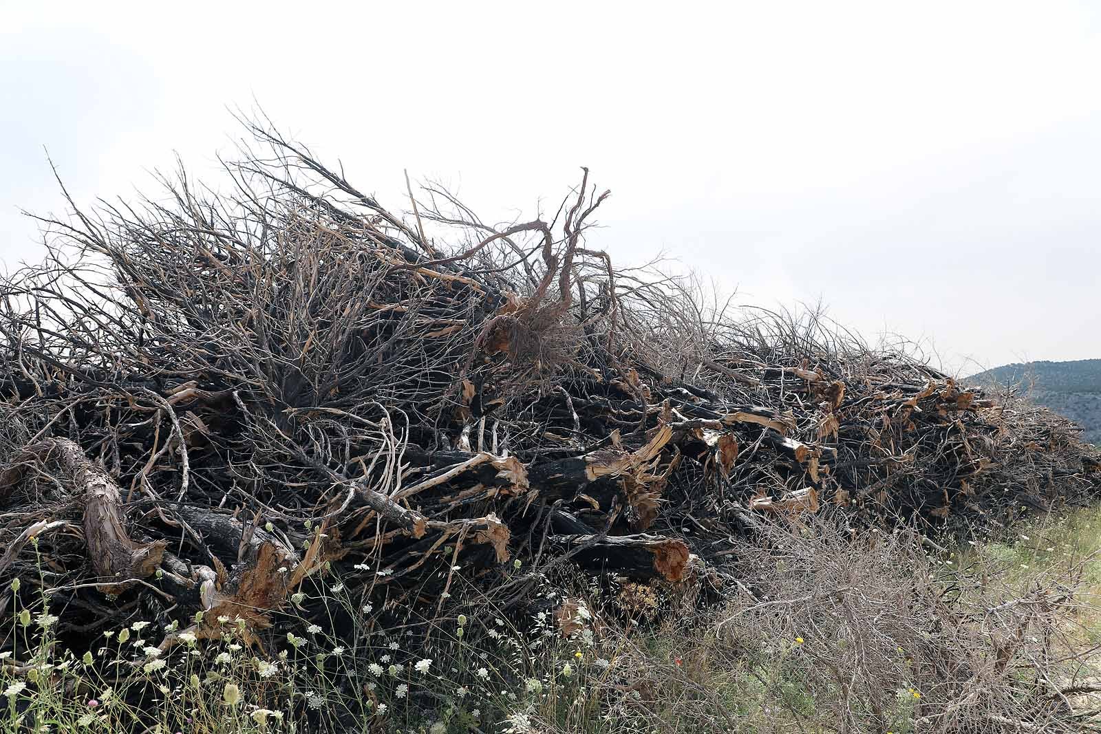 Así está la comarca del Arlanza un año después