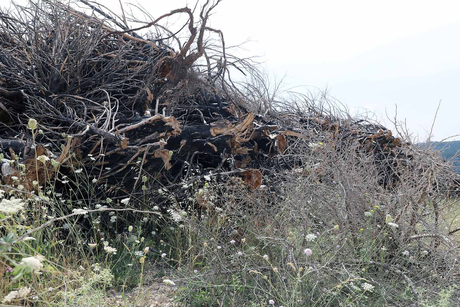 Así está la comarca del Arlanza un año después