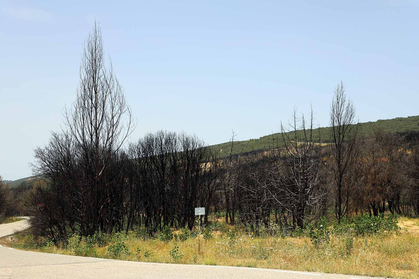 Así está la comarca del Arlanza un año después