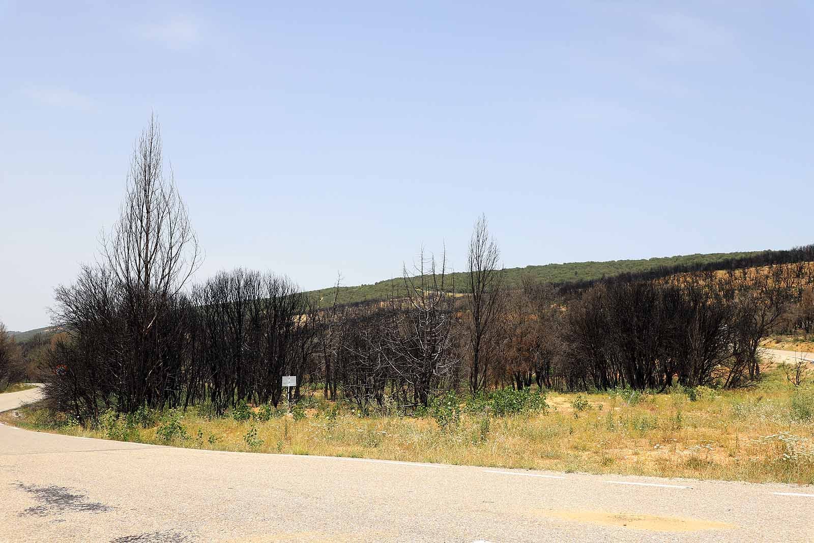 Así está la comarca del Arlanza un año después