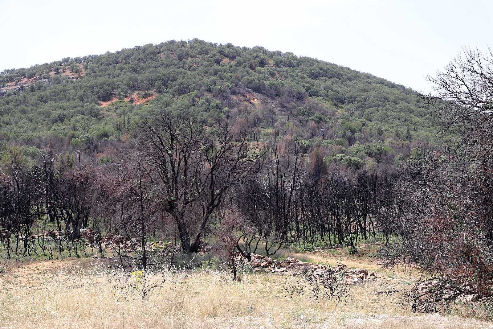 Así está la comarca del Arlanza un año después