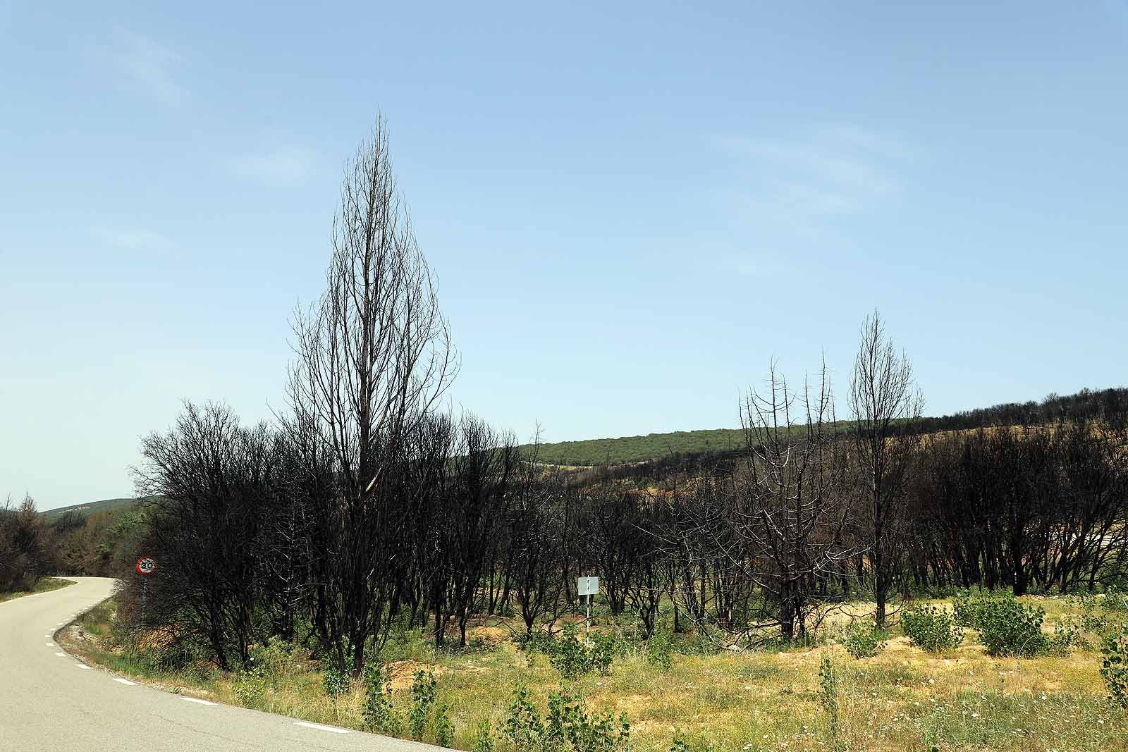 Así está la comarca del Arlanza un año después