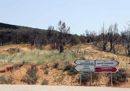 Las huellas del incendio todavía se dejan ver en la comarca del Arlanza.