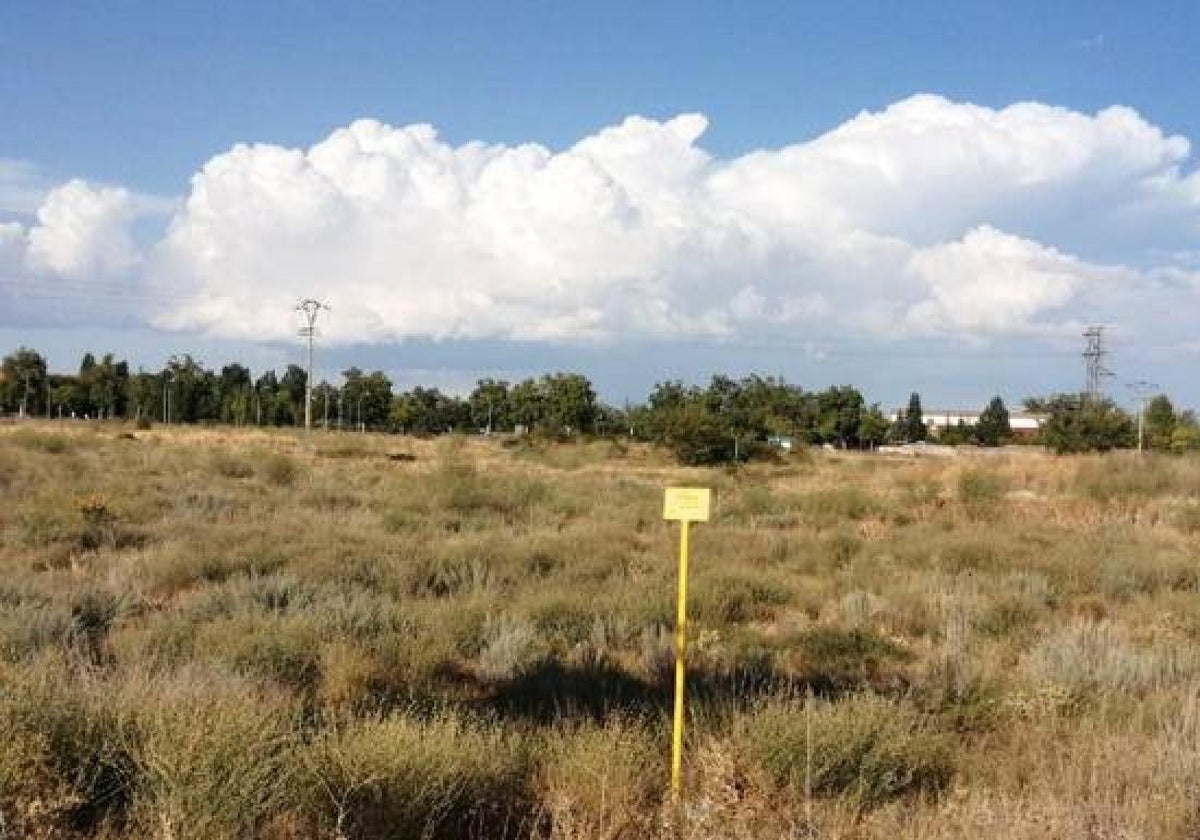 Parcela donde se construirá el nuevo hospital comarcal.