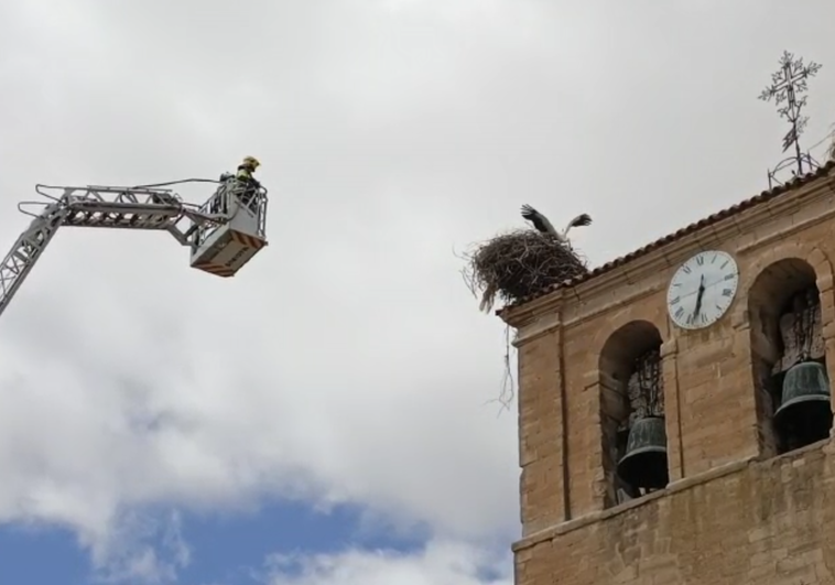 Los Bomberos rescatan a la cigüeña en Tardajos, Burgos.