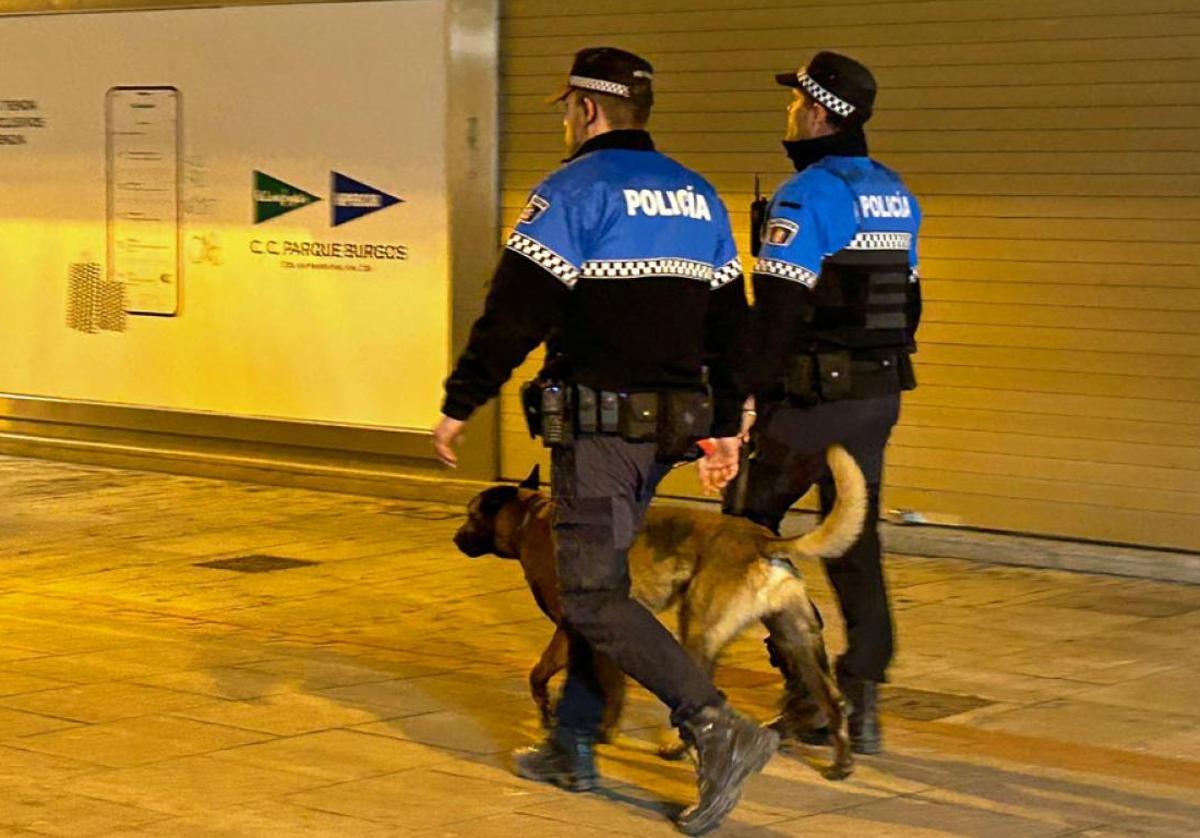 La Unidad Canina de la Policía Local de Burgos ha intervenido.