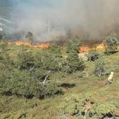 Medios aéreos y terrestres trabajan en la extinción de un incendio en Melgar