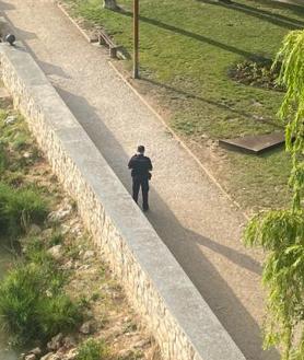 Imagen secundaria 2 - Buscan a una mujer que se ha precipitado al río Duero en Aranda