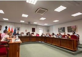 Pleno Ayuntamiento de Aranda