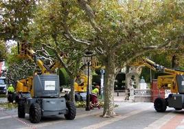 El actual contrato de mantenimiento de zonas verdes de Burgos se encuentra prorrogado.