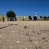 Lanzan un SOS al Ayuntamiento de Burgos por el mal estado de los campos del Silo