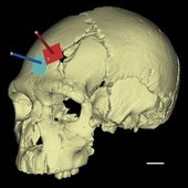 La historia de Caín y Abel ocurrió en Atapuerca