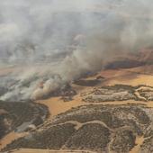 520.000 euros para la recuperación de sistemas forestales en Silos, Aranda y Lerma