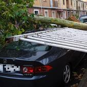 Una tormenta de agua y viento causa estragos en Aranda