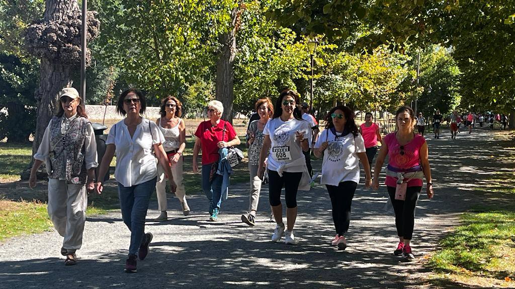 Un millar de burgaleses participan en la Marcha de Peñas solidaria