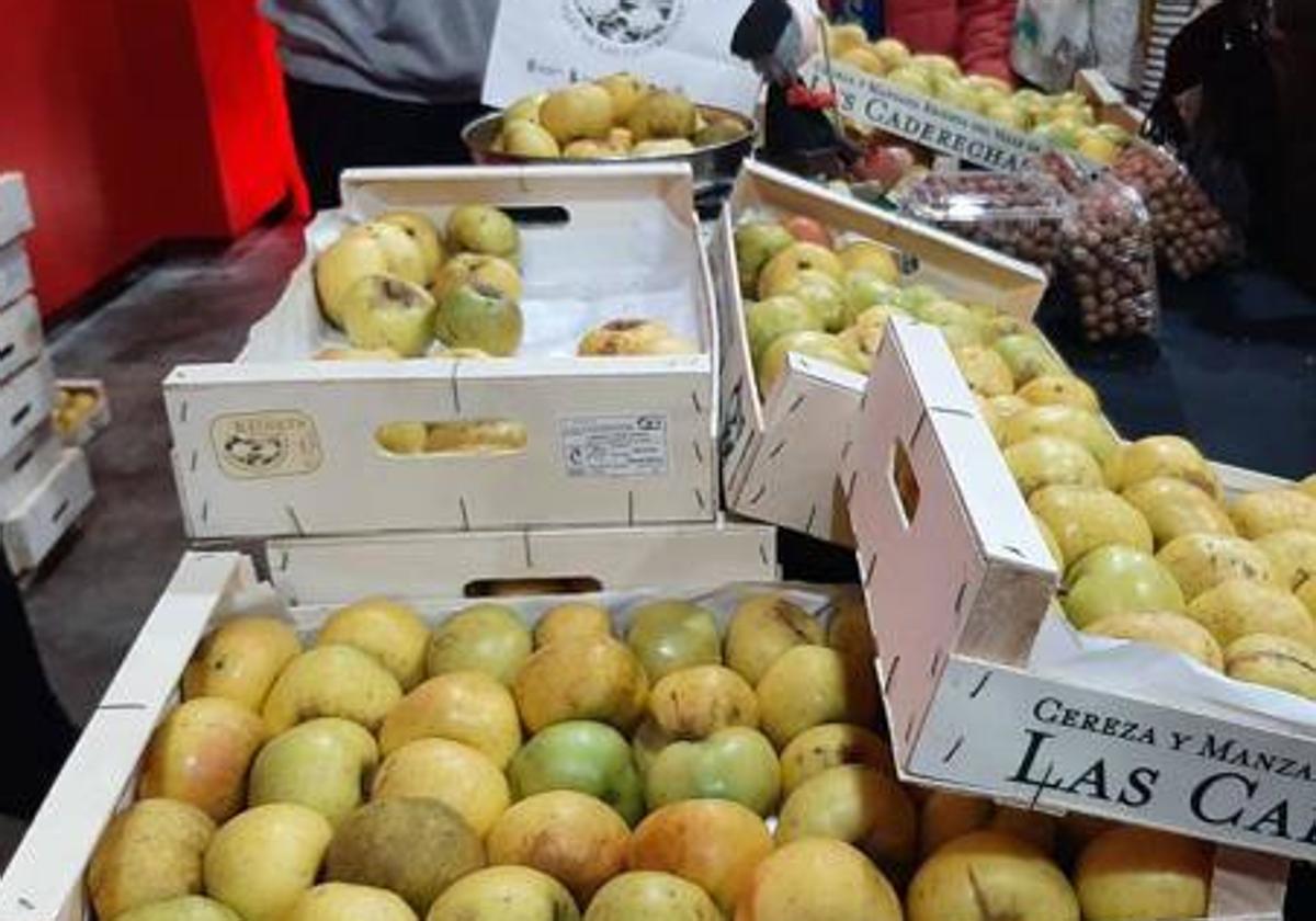 Manzana reineta del Valle de Las Caderechas.