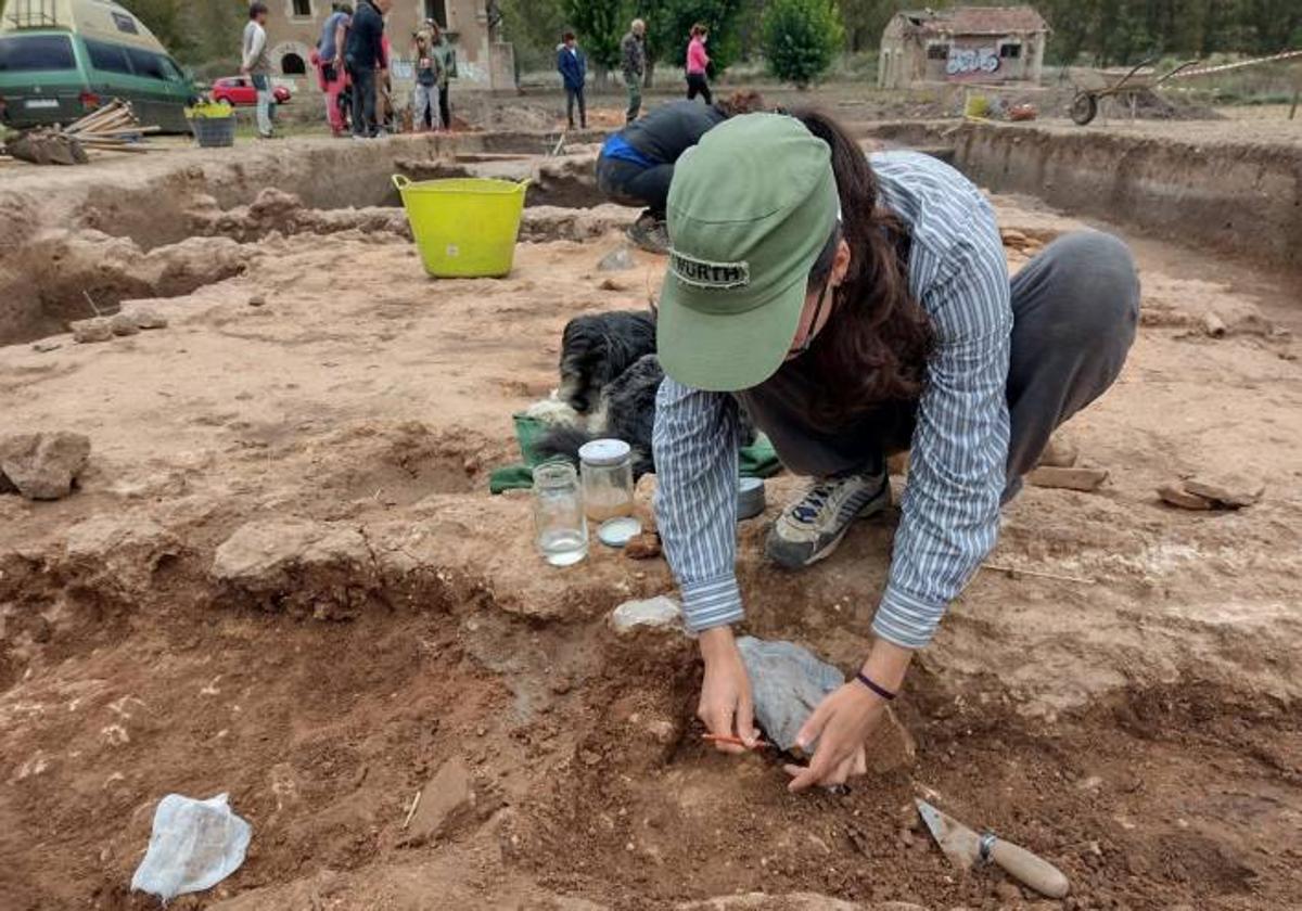 El espacio de trabajo en el yacimiento este año es más pequeño porque se centrarán en la habitación donde han aparecido las pinturas florales.