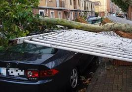 Un árbol caído sobre una valla y un coche en una imagen de archivo.