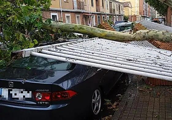 Un árbol caído sobre una valla y un coche en una imagen de archivo.