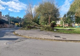 El viento ha arrancado un árbol de raíz en el parque de Las Josefinas