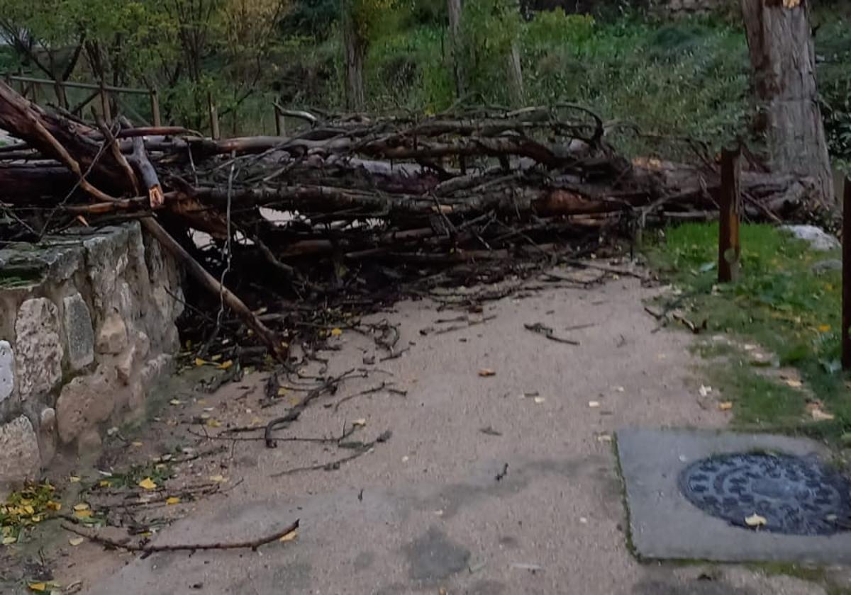 Aranda cierra los parques y pide a los ciudadanos que extremen los cuidados por Ciarán