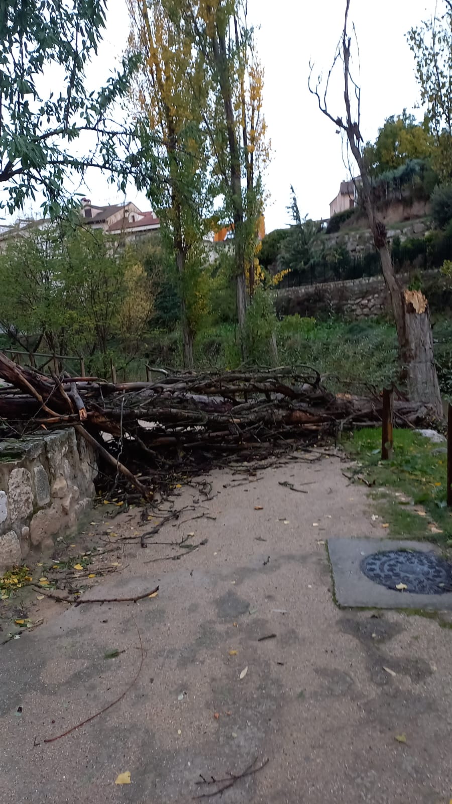 Aranda cierra los parques y pide a los ciudadanos que extremen los cuidados por Ciarán