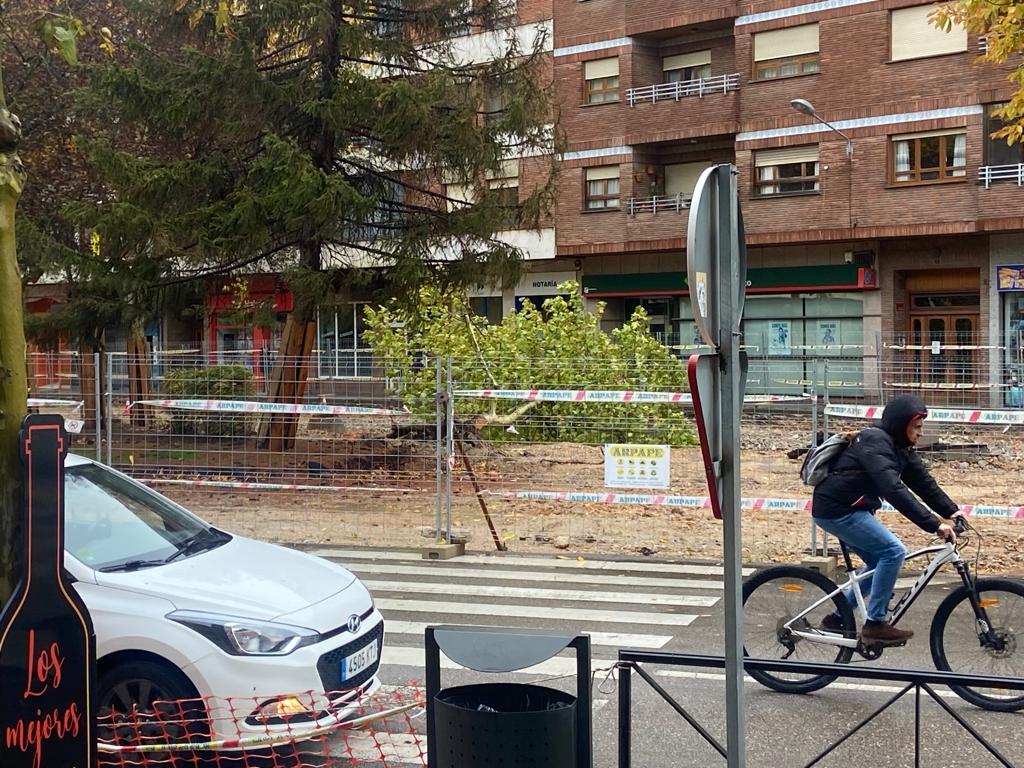 Aranda cierra los parques y pide a los ciudadanos que extremen los cuidados por Ciarán