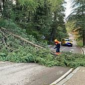 Rachas de viento de hasta 100 kilómetros por hora causan estragos en Burgos