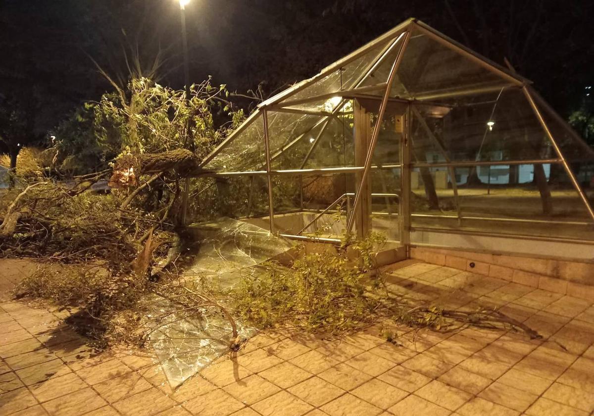 El viento causa decenas de desperfectos en Burgos