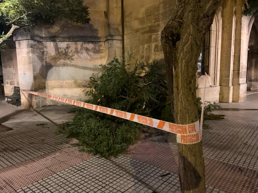 El viento causa decenas de desperfectos en Burgos