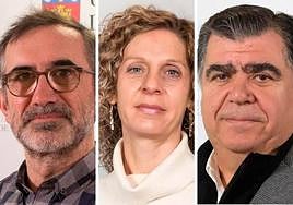 Los investigadores Carlos Larrinaga, Aránzazu Heras y Juan Manuel Manso.